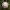 Nuosėdis - Cortinarius quarciticus | Fotografijos autorius : Vitalij Drozdov | © Macrogamta.lt | Šis tinklapis priklauso bendruomenei kuri domisi makro fotografija ir fotografuoja gyvąjį makro pasaulį.