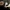 Drūtgalė taurulė - Ampulloclitocybe clavipes | Fotografijos autorius : Aleksandras Stabrauskas | © Macrogamta.lt | Šis tinklapis priklauso bendruomenei kuri domisi makro fotografija ir fotografuoja gyvąjį makro pasaulį.