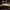 Geltonasis baltikas - Tricholoma sulphureum | Fotografijos autorius : Vitalij Drozdov | © Macrogamta.lt | Šis tinklapis priklauso bendruomenei kuri domisi makro fotografija ir fotografuoja gyvąjį makro pasaulį.