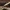 Sausmedinė tamsioji šydinė kandis - Ypsolopha falcella | Fotografijos autorius : Vaida Paznekaitė | © Macrogamta.lt | Šis tinklapis priklauso bendruomenei kuri domisi makro fotografija ir fotografuoja gyvąjį makro pasaulį.