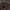 Vagabitė - Sphecodes albilabris | Fotografijos autorius : Eugenijus Kavaliauskas | © Macrogamta.lt | Šis tinklapis priklauso bendruomenei kuri domisi makro fotografija ir fotografuoja gyvąjį makro pasaulį.