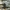 Beržinis stiklasparnis - Synanthedon scoliaeformis | Fotografijos autorius : Dalia Račkauskaitė | © Macrogamta.lt | Šis tinklapis priklauso bendruomenei kuri domisi makro fotografija ir fotografuoja gyvąjį makro pasaulį.