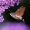 Ilgaliežuvis sfinksas - Macroglossum stellatarum | Fotografijos autorius : Žydrūnas Daunoravičius | © Macrogamta.lt | Šis tinklapis priklauso bendruomenei kuri domisi makro fotografija ir fotografuoja gyvąjį makro pasaulį.