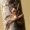 Pušinis vikrūnas - Philodromus collinus | Fotografijos autorius : Ramunė Vakarė | © Macrogamta.lt | Šis tinklapis priklauso bendruomenei kuri domisi makro fotografija ir fotografuoja gyvąjį makro pasaulį.