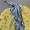 Vėlyvasis naktinukas - Asteroscopus sphinx | Fotografijos autorius : Arūnas Eismantas | © Macrogamta.lt | Šis tinklapis priklauso bendruomenei kuri domisi makro fotografija ir fotografuoja gyvąjį makro pasaulį.